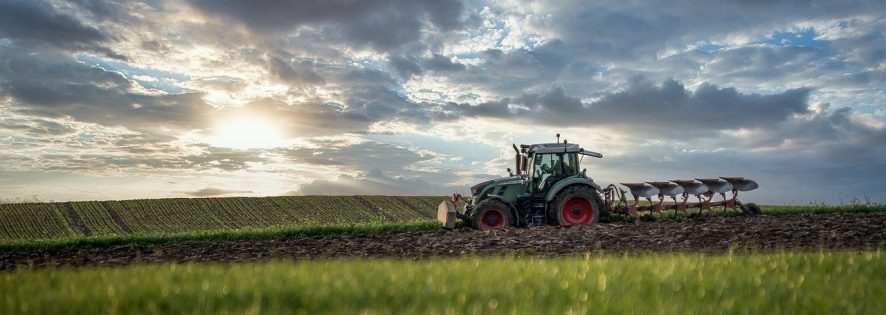 150 tys. zł premii dla młodych rolników – ruszył nabór wniosków